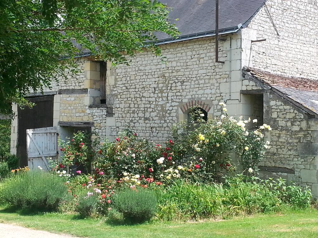 Bed and Breakfast La Cle Des Jardins Nouâtre Zewnętrze zdjęcie