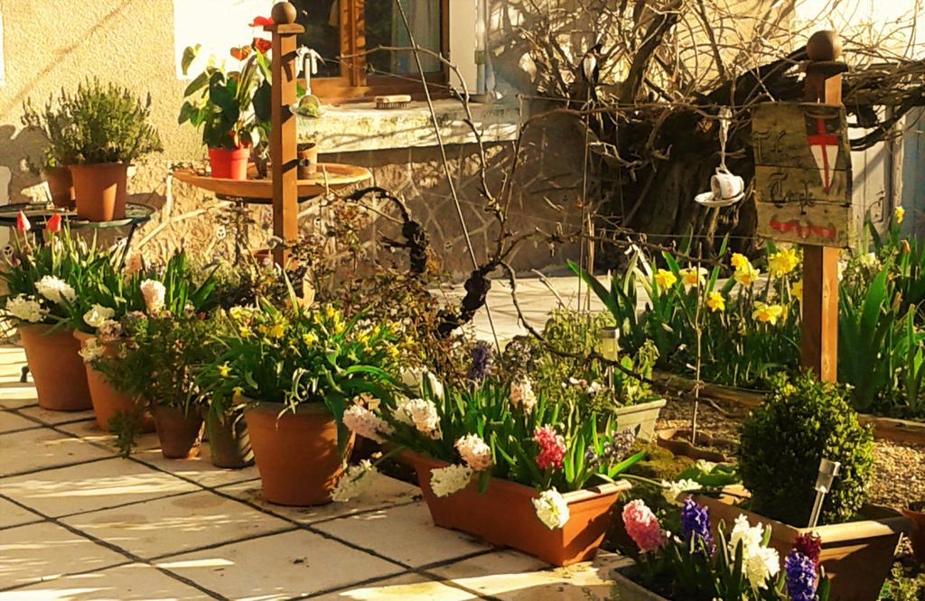 Bed and Breakfast La Cle Des Jardins Nouâtre Zewnętrze zdjęcie